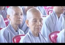 Duy Thức Tam Thập Tụng Phần 3 – Thích Tuệ Hải duy thuc tam thap tung phan 3 th