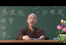 Duyên Khởi Và Vô Ngã Phần 8 – Thích Minh Thành duyen khoi va vo nga phan 8 thic
