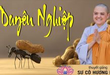 Duyên Nghiệp – Thích Nữ Hương Nhũ duyen nghiep thich nu huong nhu