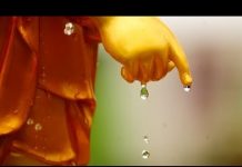 Gạn Đục Khơi Trong – Thích Thiện Tuệ gan duc khoi trong thich thien t
