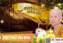 Gặt Hái Cho Được Quả Sa Môn – Thích Trí Quảng gat hai cho duoc qua sa mon thic