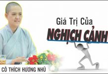 Giá Trị Của Nghịch Cảnh – Thích Nữ Hương Nhũ gia tri cua nghich canh thich nu
