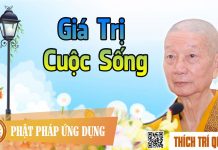 Giá Trị Cuộc Sống – Thích Trí Quảng gia tri cuoc song thich tri quan