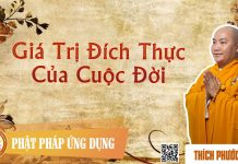 Giá Trị Đích Thực Của Cuộc Đời – Thích Phước Tiến gia tri dich thuc cua cuoc doi t