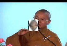 Giá Trị Quán Tưởng Trong Niệm Phật – Phần 2/2 – Thích Nhật Từ gia tri quan tuong trong niem ph