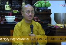 Giấc mơ và tâm huyết – Thích Nhật Từ giac mo va tam huyet thich nhat