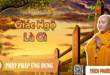 Giác Ngộ Là Gì – Thích Phước Tiến giac ngo la gi thich phuoc tien