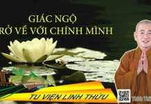 Giác Ngộ Trở Về Chính Mình – Thích Thiện Xuân giac ngo tro ve chinh minh thich 2