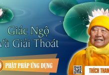 Giác Ngộ Và Giải Thoát – Thích Thanh Từ giac ngo va giai thoat thich tha