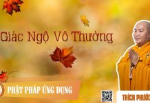 Giác Ngộ Vô Thường (Enlightenment Of The Impermanence) – Thích Phước Tiến giac ngo vo thuong enlightenment