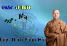 Giác : Phật – Mê : Ma – Thích Pháp Hòa giac phat me ma thich phap hoa