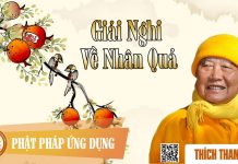 Giải Nghi Về Nhân Quả – Thích Thanh Từ giai nghi ve nhan qua thich than