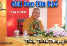 Giải Oan Cứu Khổ – Thích Pháp Hòa giai oan cuu kho thich phap hoa