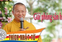 Giải phóng sân hận – Thích Nhật Từ – 16/05/2005 giai phong san han thich nhat tu