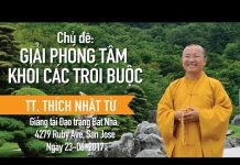 Giải Phóng Tâm Khỏi Các Trói Buộc – Thích Nhật Từ giai phong tam khoi cac troi buo
