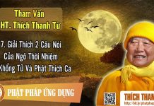 Giải Thích 2 Câu Nói Của Ngô Thời Nhiệm Về Khổng Tử Và Phật Thích Ca – Tham vấn HT Thanh Từ 7 giai thich 2 cau noi cua ngo tho