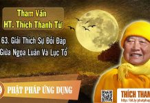 Giải Thích Sự Đối Đáp Giữa Ngọa Luân Và Lục Tổ – Tham vấn HT Thanh Từ 63 giai thich su doi dap giua ngoa