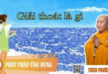Giải Thoát Là Gì – Thích Phước Tiến giai thoat la gi thich phuoc tie
