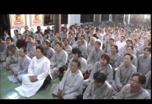 Giải Trừ Nghiệp Sát – Thích Thiện Thuận giai tru nghiep sat thich thien