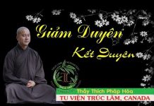 Giảm Duyên – Kết Duyên (Vấn Đáp) – Thích Pháp Hòa giam duyen ket duyen van dap thi