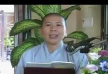 Giảng Kinh Pháp Cú Bài 13 Phần 1 – Thích Nữ Hạnh Chiếu giang kinh phap cu bai 13 phan 1
