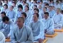 Giảng Kinh Pháp Cú Bài 33 Phần 1 – Thích Nữ Hạnh Chiếu giang kinh phap cu bai 33 phan 1