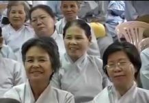 Giảng Kinh Pháp Cú Bài 41 Phần 1 – Thích Nữ Hạnh Chiếu giang kinh phap cu bai 41 phan 1