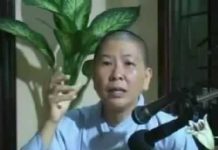 Giảng Kinh Pháp Cú Bài 9 Phần 2 – Thích Nữ Hạnh Chiếu giang kinh phap cu bai 9 phan 2