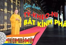 Giáo đoàn Tỳ-kheo Ni và Bát Kỉnh Pháp (11/2005) – Thích Nhật Từ giao doan ty kheo ni va bat kinh