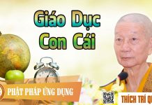 Giáo Dục Con Cái – Thích Trí Quảng giao duc con cai thich tri quang
