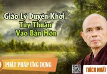 Giáo Lý Duyên Khởi Tùy Thuận Vào Bản Môn – Thích Nhất Hạnh giao ly duyen khoi tuy thuan vao
