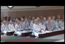 Giáo Nghĩa Trong Kinh Tạng Nguyên Thủy Phần 2 – Thích Viên Trí giao nghia trong kinh tang nguye 1