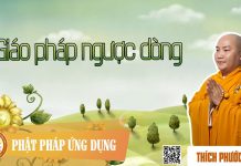 Giáo Pháp Ngược Dòng – Thích Phước Tiến giao phap nguoc dong thich phuoc