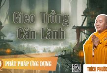 Gieo Trồng Căn Lành – Thích Phước Tiến gieo trong can lanh thich phuoc