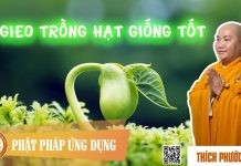 Gieo Trồng Hạt Giống Tốt – Thích Phước Tiến gieo trong hat giong tot thich p