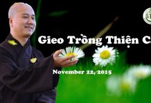 Gieo Trồng Thiện Căn – Thích Pháp Hòa gieo trong thien can thich phap