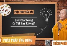 Giết Côn Trùng Có Tội Hay Không – Thích Phước Tiến giet con trung co toi hay khong