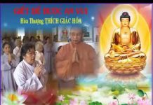 Giết Để Được An Vui – Thích Giác Hóa giet de duoc an vui thich giac h