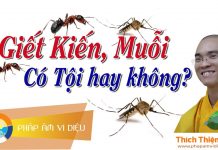 Giết Muỗi, Kiến Có Tội Hay Không – Thích Thiện Tuệ giet muoi kien co toi hay khong