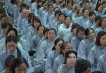 Gió Thổi Trúc Lay – Thích Chân Tính gio thoi truc lay thich chan tin