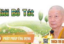 Giới Bồ Tát – Thích Trí Quảng gioi bo tat thich tri quang
