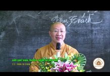 Giới Luật Giữa Truyền Thống Và Hiện Đại – Thích Thiện Thuận gioi luat giua truyen thong va h
