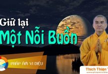 Giữ Lại Một Nỗi Buồn – Thích Thiện Tuệ giu lai mot noi buon thich thien