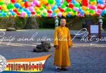 Giúp sinh viên hiểu Phật Giáo – Thích Nhật Từ giup sinh vien hieu phat giao th