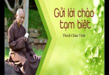 Gửi Lời Chào Tạm Biệt – Thích Chân Tính gui loi chao tam biet thich chan