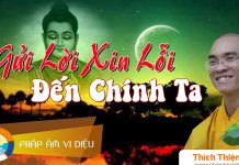 Gửi Lời Xin Lỗi Đến Chính Ta – Thích Thiện Tuệ gui loi xin loi den chinh ta thi