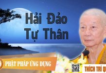 Hải Đảo Tự Thân – Thích Trí Quảng hai dao tu than thich tri quang