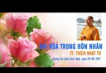 Hài Hòa Trong Hôn Nhân – Thích Nhật Từ hai hoa trong hon nhan thich nha