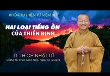 Hai Loại Tiếng Ồn Của Thiền Định – TT. Thích Nhật Từ hai loai tieng on cua thien dinh