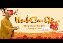 Hạnh Con Gà – Thích Pháp Hòa hanh con ga thich phap hoa